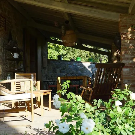 Under The Tuscan Sun