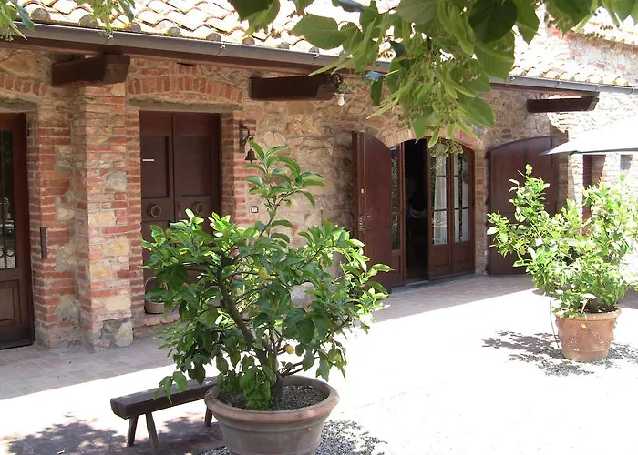 Under The Tuscan Sun * לוצ'יניאנו